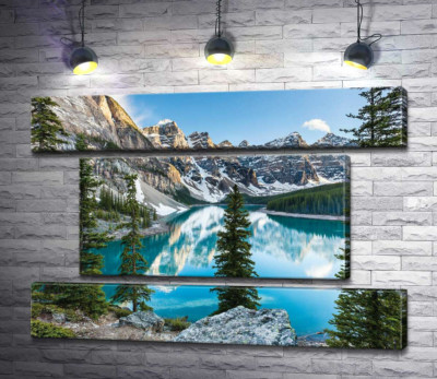Стройные елки на скалистом берегу озера Морейн (Moraine Lake)