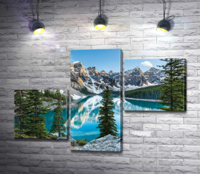 Модульная картина "Стройные елки на скалистом берегу озера Морейн (Moraine Lake)"