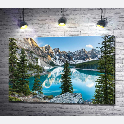 Стрункі ялинки на скелястому березі озера Морейн (Moraine Lake)