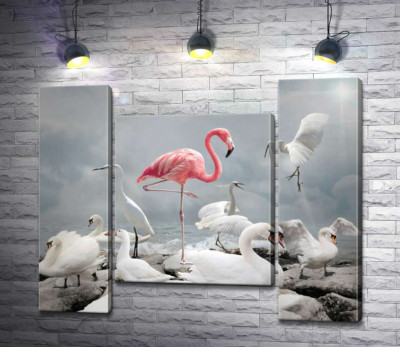 Розовый фламинго среди белоснежных лебедей, цапель и гусей
