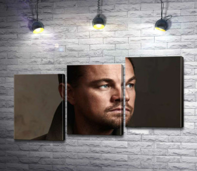 Модульная картина "Портрет знаменитого актера Леонардо Ди Каприо (Leonardo DiCaprio)"