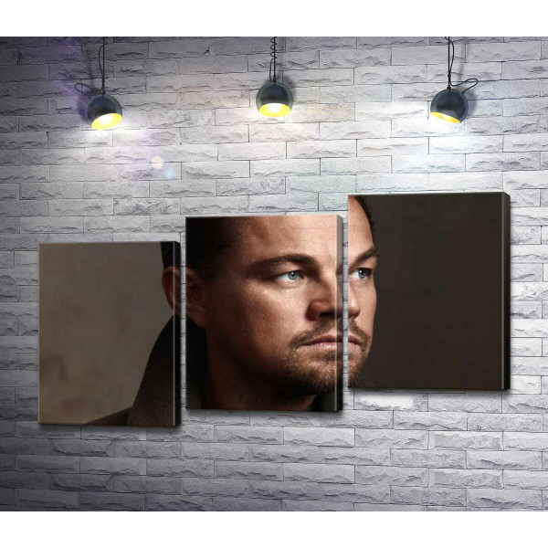 Портрет знаменитого актера Леонардо Ди Каприо (Leonardo DiCaprio)