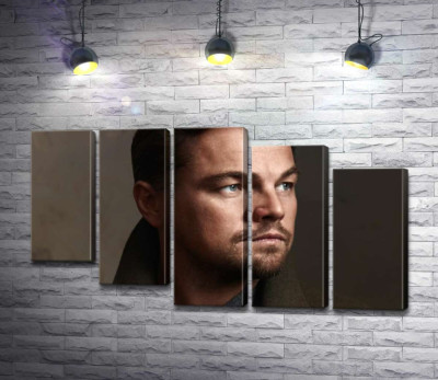 Портрет знаменитого актера Леонардо Ди Каприо (Leonardo DiCaprio)