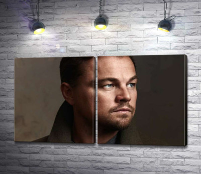 Портрет знаменитого актора Леонардо Ді Капріо (Leonardo DiCaprio)