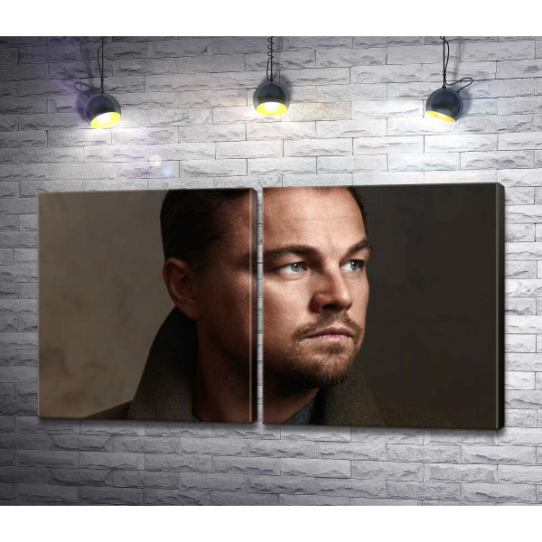 Портрет знаменитого актера Леонардо Ди Каприо (Leonardo DiCaprio)