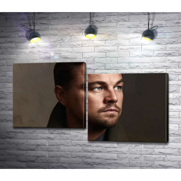 Портрет знаменитого актора Леонардо Ді Капріо (Leonardo DiCaprio)