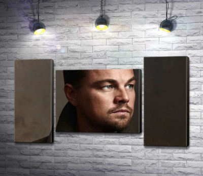 Модульная картина "Портрет знаменитого актера Леонардо Ди Каприо (Leonardo DiCaprio)"