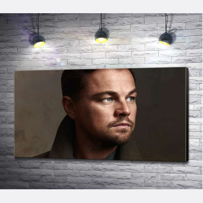 Портрет знаменитого актера Леонардо Ди Каприо (Leonardo DiCaprio)