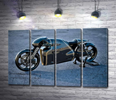 Модульна картина "Чорна сяюча поверхня мотоцикла Lotus C-01"