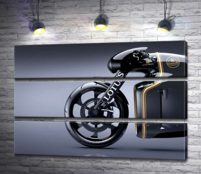 Модульна картина "Блиск вигинів передньої частини швидкого мотоцикла Lotus C-01"