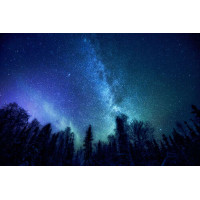 Звездное скопление Млечного пути на ночном небе над лесной лужайкой