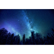 Звездное скопление Млечного пути на ночном небе над лесной лужайкой