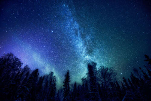 Зіркове скупчення Чумацького шляху на нічному небі над лісовою галявиною
