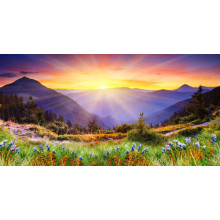 Ранкове сонце зігріває промінням квітучі схили гір