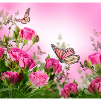 Бабочки летают среди пышных кустов роз