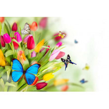 Цветные бабочки летают вокруг букета тюльпанов