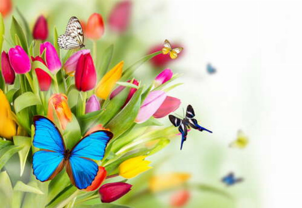 Кольорові метелики літають навколо букету тюльпанів