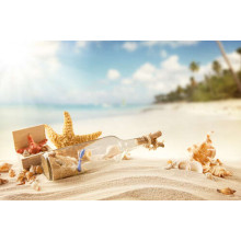 Бутылка с загадочным сообщением лежит на пляже среди ракушек и звезд