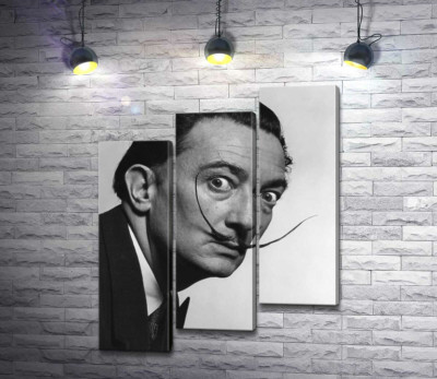 Модульна картина "Художник Сальвадор Далі (Salvador Dali) із знаменитими вусами"
