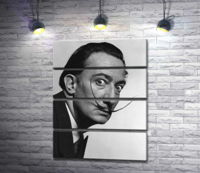 Художник Сальвадор Дали (Salvador Dali) со знаменитыми усами