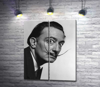 Художник Сальвадор Дали (Salvador Dali) со знаменитыми усами