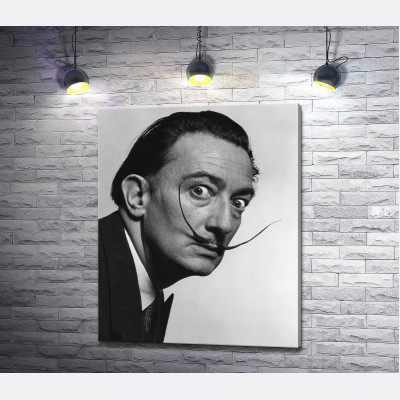 Художник Сальвадор Дали (Salvador Dali) со знаменитыми усами