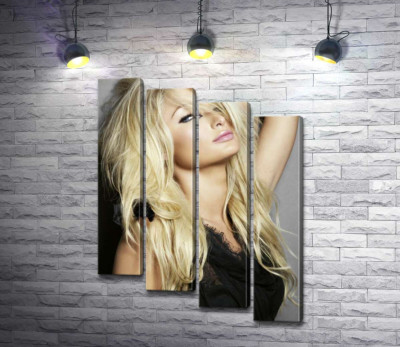Модульная картина "Актриса Пэрис Хилтон (Paris Hilton) в соблазнительном наряде"