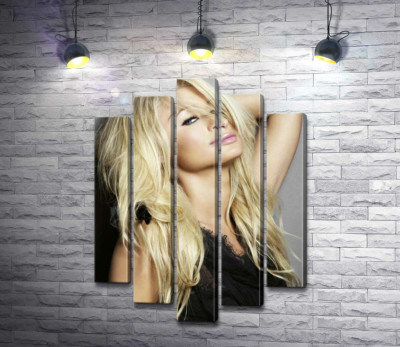 Модульна картина "Акторка Періс Гілтон (Paris Hilton) у спокусливому вбранні"