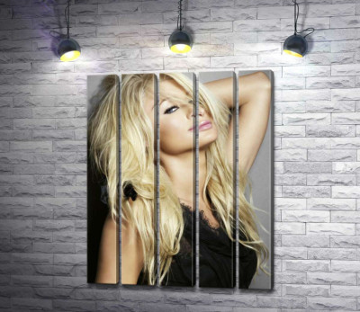 Модульна картина "Акторка Періс Гілтон (Paris Hilton) у спокусливому вбранні"