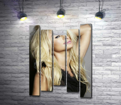 Модульная картина "Актриса Пэрис Хилтон (Paris Hilton) в соблазнительном наряде"