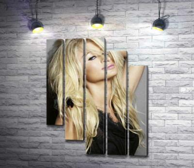 Модульная картина "Актриса Пэрис Хилтон (Paris Hilton) в соблазнительном наряде"