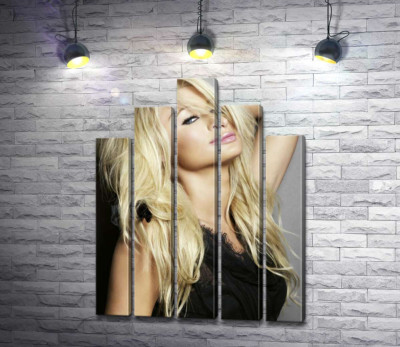Модульна картина "Акторка Періс Гілтон (Paris Hilton) у спокусливому вбранні"