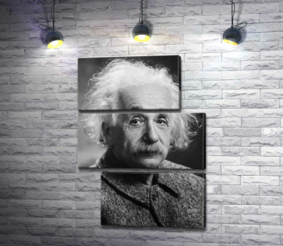 Портрет гениального физика Альберта Эйнштейна (Albert Einstein)
