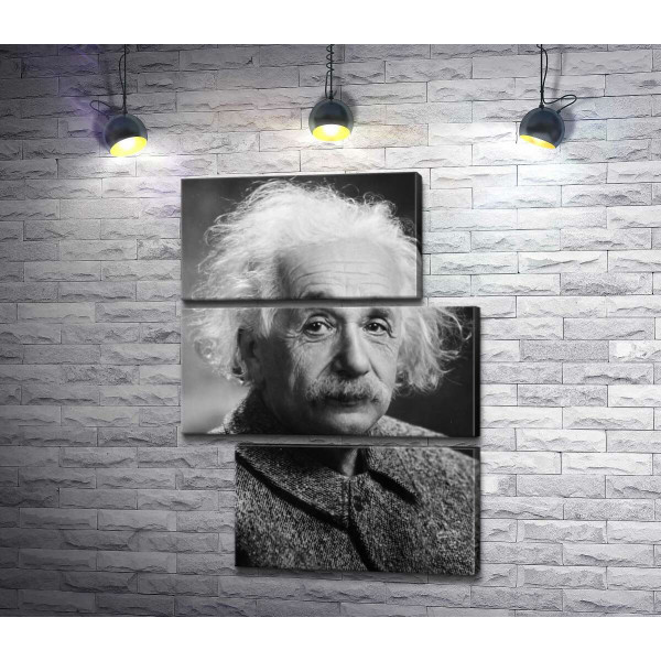 Портрет гениального физика Альберта Эйнштейна (Albert Einstein)