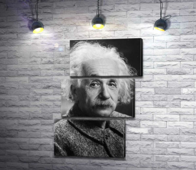Портрет гениального физика Альберта Эйнштейна (Albert Einstein)
