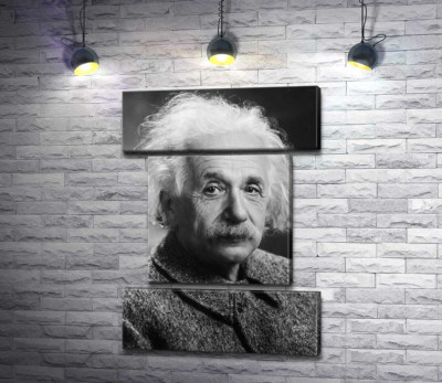 Модульная картина "Портрет гениального физика Альберта Эйнштейна (Albert Einstein)"