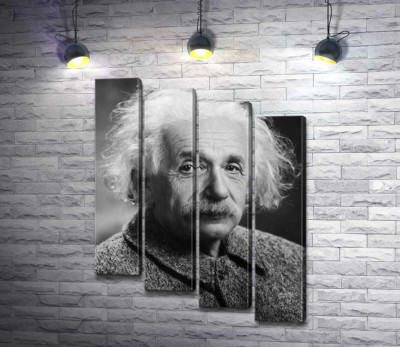 Модульна картина "Портрет геніального фізика Альберта Ейнштейна (Albert Einstein)"