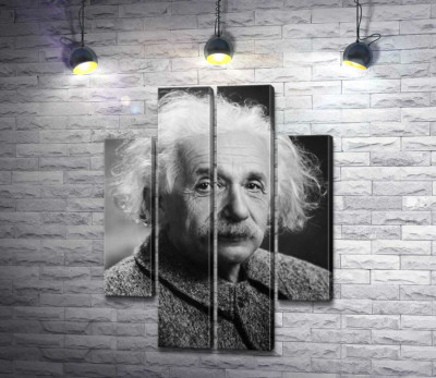 Модульна картина "Портрет геніального фізика Альберта Ейнштейна (Albert Einstein)"