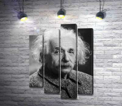 Модульна картина "Портрет геніального фізика Альберта Ейнштейна (Albert Einstein)"