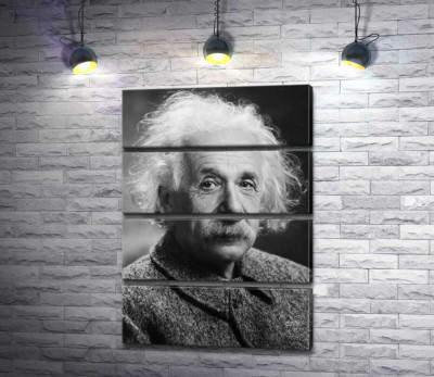 Модульна картина "Портрет геніального фізика Альберта Ейнштейна (Albert Einstein)"