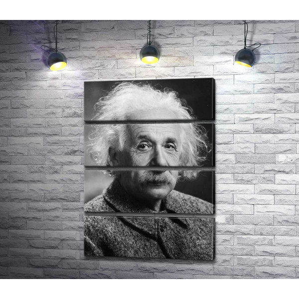 Портрет геніального фізика Альберта Ейнштейна (Albert Einstein)