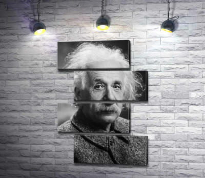 Модульна картина "Портрет геніального фізика Альберта Ейнштейна (Albert Einstein)"