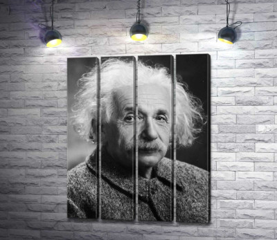 Модульная картина "Портрет гениального физика Альберта Эйнштейна (Albert Einstein)"