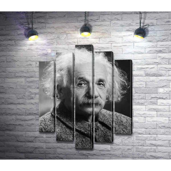 Портрет гениального физика Альберта Эйнштейна (Albert Einstein)