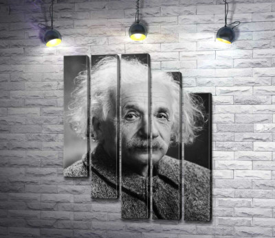 Модульная картина "Портрет гениального физика Альберта Эйнштейна (Albert Einstein)"