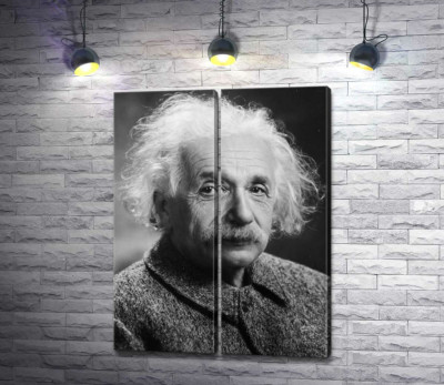 Портрет геніального фізика Альберта Ейнштейна (Albert Einstein)