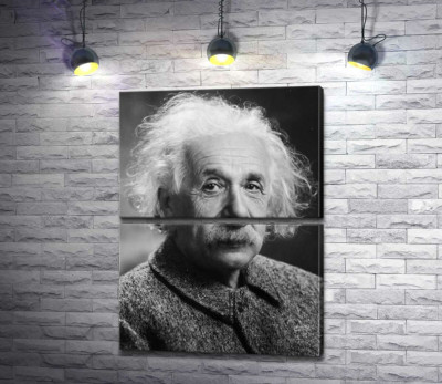 Модульная картина "Портрет гениального физика Альберта Эйнштейна (Albert Einstein)"