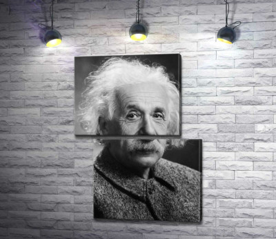 Модульная картина "Портрет гениального физика Альберта Эйнштейна (Albert Einstein)"
