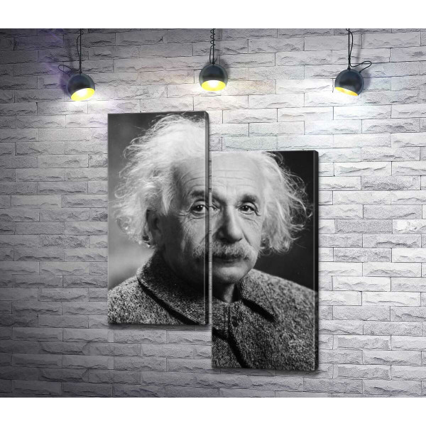 Портрет геніального фізика Альберта Ейнштейна (Albert Einstein)