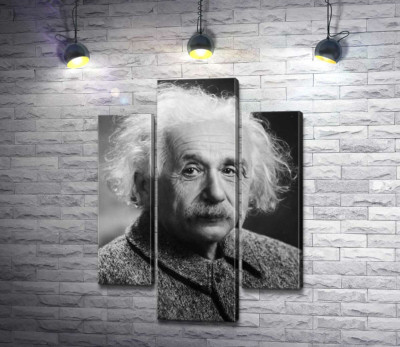 Модульна картина "Портрет геніального фізика Альберта Ейнштейна (Albert Einstein)"
